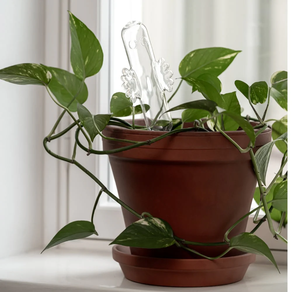 Dozownik wody do kwiatów  - Hatifnat 30cm / 200ml Muurla - Image 4